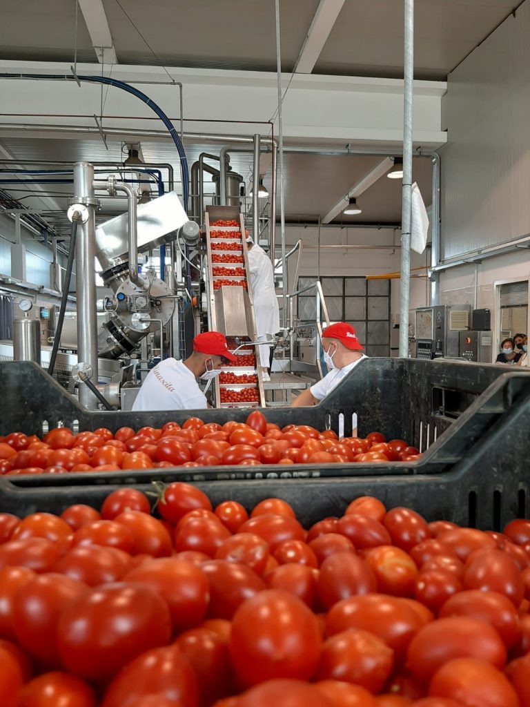 Lavorazione — Cooperativa Rinascita Valledolmo
