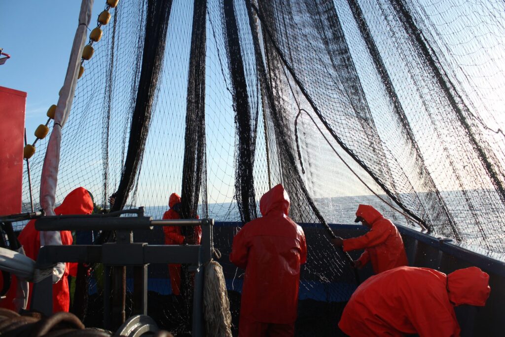 Pesca — Testa Conserve, Portopalo di Capo Passero