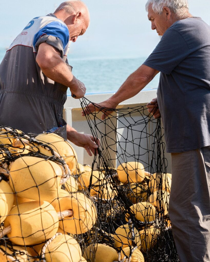 Testa Conserve — Portopalo di Capo Passero
